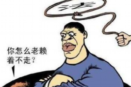 乐山融资清欠服务